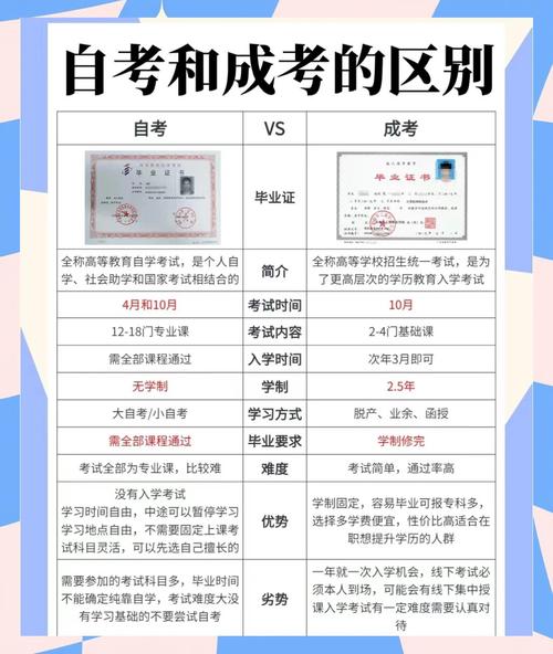 自考vs成考